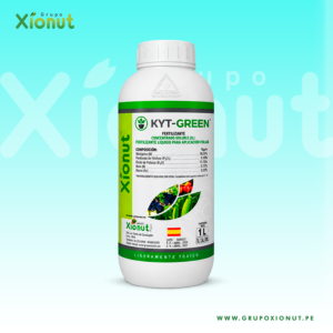 KyT Green